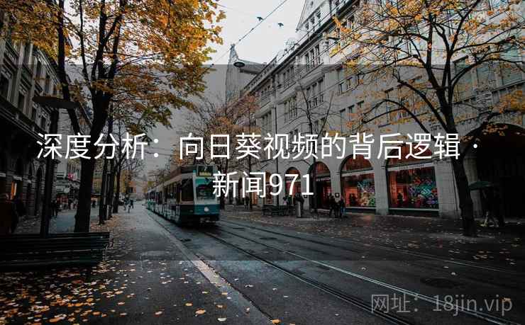 深度分析：向日葵视频的背后逻辑 · 新闻971