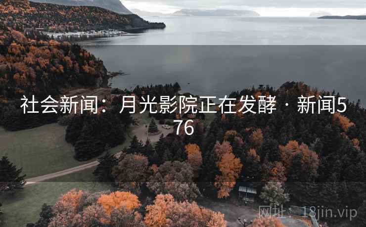 社会新闻:月光影院正在发酵 · 新闻576