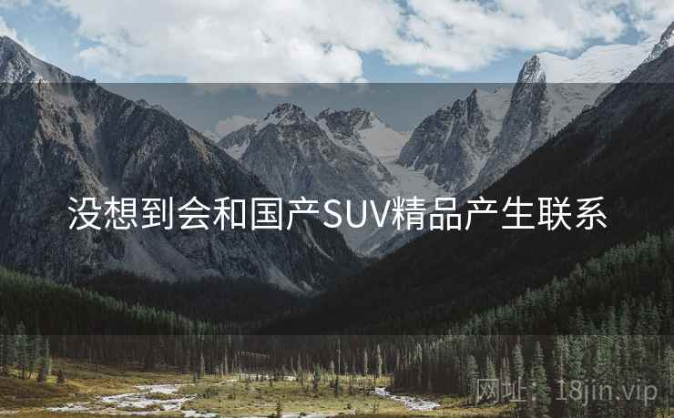 没想到会和国产SUV精品产生联系